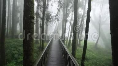 在雾、雾、雾和雾中沿着木路走过<strong>阿里山</strong>国家公园。 森林基础设施发达